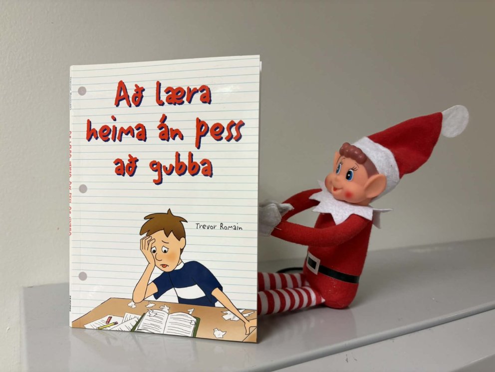 Jólaálfur í Valsárskóla 17. desember 2025