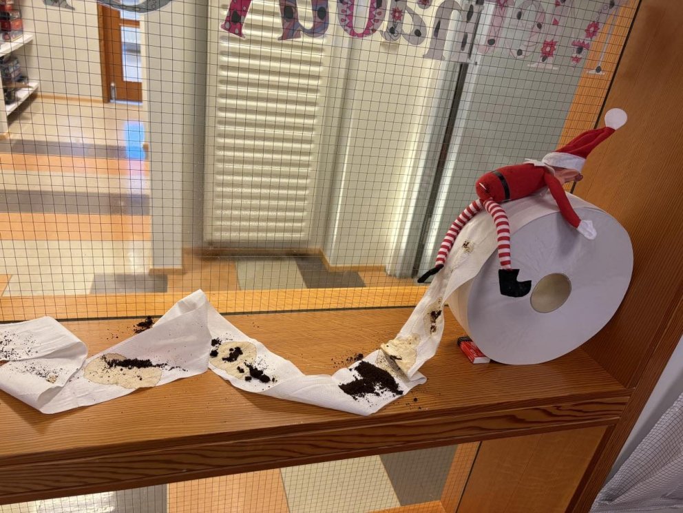 Jólaálfur í Valsárskóla 2. desember 2024 - starfsfólk