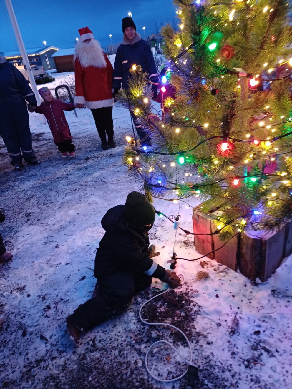 Kveikt á jólatrénu