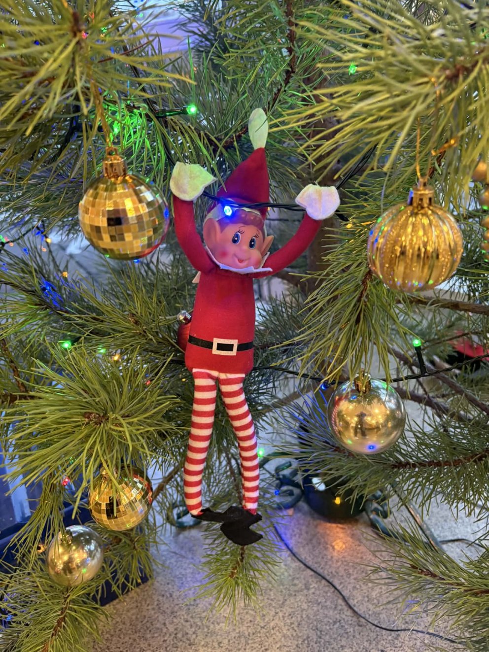 Jólaálfur í Valsárskóla 8. - 15. desember 2025