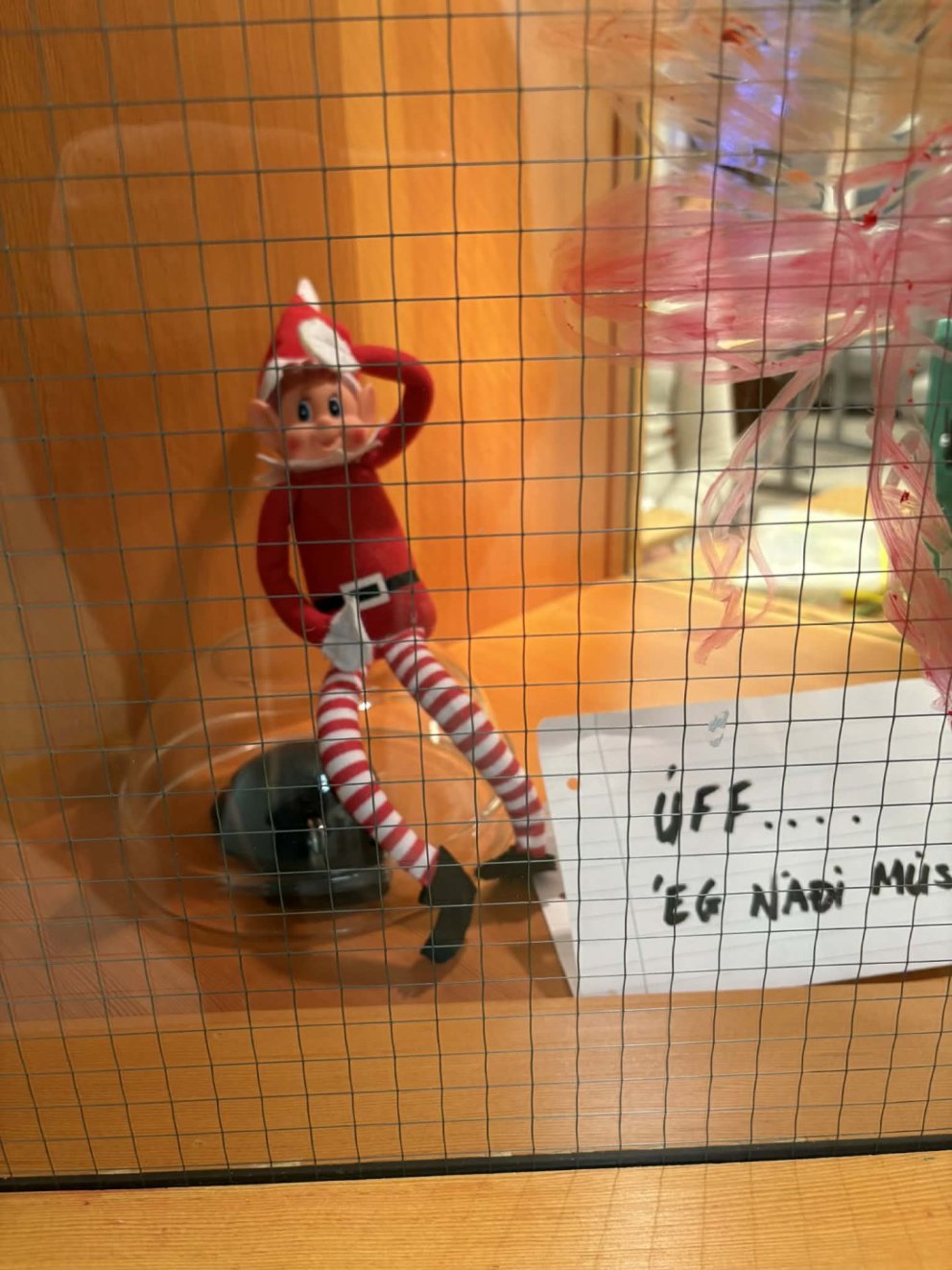 Jólaálfur í Valsárskóla 3. desember 2025  5. - 6. bekkur