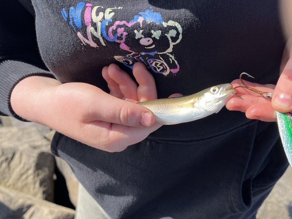 Myndir frá skólastarfinu síðustu vikur