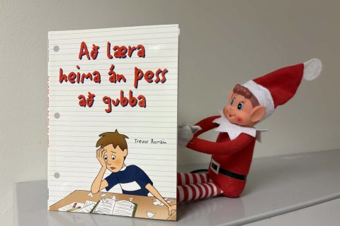 Jólaálfur í Valsárskóla 17. desember 2025