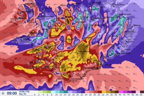 Allt skólahald leggst niður, föstudaginn 14. febrúar