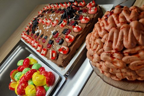 Hrekkjavaka í Valsárskóla 27. október 2023