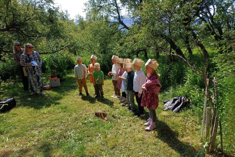 Sumarhátíð foreldrafélagsins og útskrift úr Álfaborg