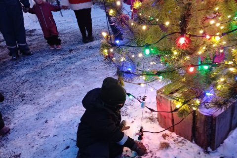 Kveikt á jólatrénu