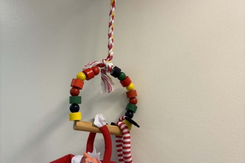 Jólaálfur í Valsárskóla 8. - 15. desember 2025