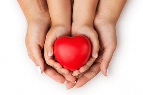 Álfaborg opnar á morgun fimmtudag