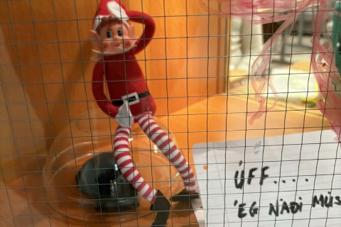 Jólaálfur í Valsárskóla 3. desember 2025  5. - 6. bekkur