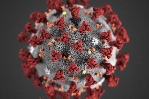 Viðbragðsáætlun við heimsfaraldri