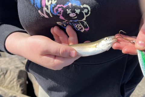 Myndir frá skólastarfinu síðustu vikur