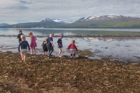 Laus staða deildarstjóra á ungbarnadeild í Álfaborg/Valsárskóla á Svalbarðseyri